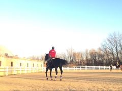 -月河湾马术俱乐部(朝阳店)