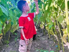 -北陵公园