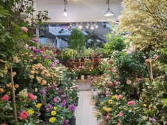 -双季花艺园艺市场(浦东店)