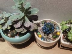 -逸栈养生SPA(望京店)