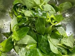 -黔府豆米火锅野菜馆(南马店)