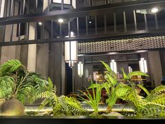 -杨肥肠火锅大排档(火车站花园店)