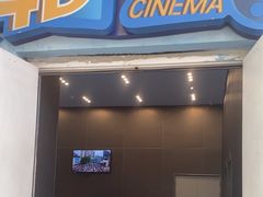 -海合安成都极地海洋公园