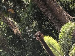 -海南热带野生动植物园