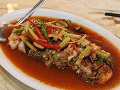 -品茶居素食馆(罗湖店)