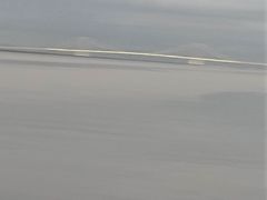 -大湾区中央湿地公园