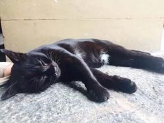 -Ministry of Crab(科伦坡店)