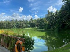 -文昌邓记清补凉(西沙路店)