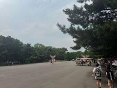 -北陵公园