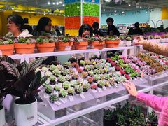 -KKV(重庆东原悦荟主力店)