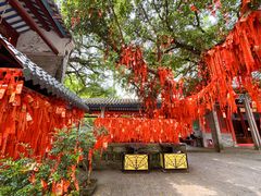 -国恩寺