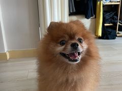 -中粮·祥云小镇