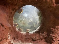 -珠海长隆海洋王国