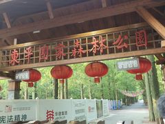 -东平国家森林公园