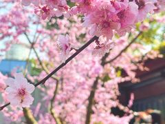 -静安雕塑公园
