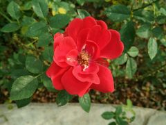 -天源吉布世温泉水乐园