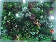 -花锅速食(日月广场店)