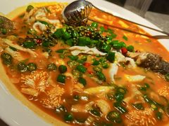 鲜椒豆花鲈鱼-川味堂·四川豆花(八卦岭店)
