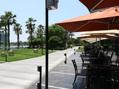 -金沙湖公园