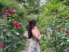 -谷咖啡·鲜花绿植花园餐厅