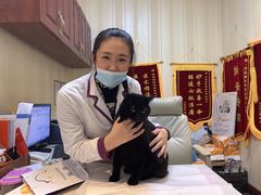 -宠爱国际动物医院· 猫科· 外科·中兽医(长白店)