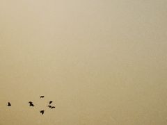 -东山风景区(洞庭东山)