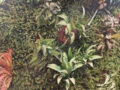 -味之绝热血美蛙鱼火锅(中坝店)