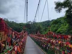 -西双版纳原始森林公园