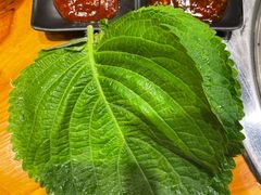 -玖泉里烤肉