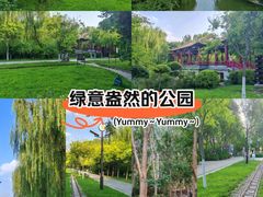 -南翠屏公园