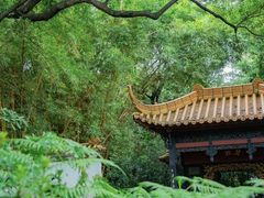 -广州兰圃
