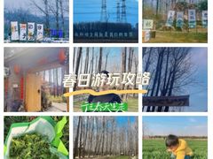 -林间山庄
