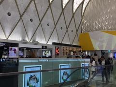 -乐天免税店(明洞店)