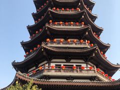 -洋湖国家湿地公园