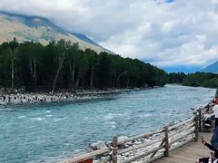 -肖家客饸饹面(郑州总店)