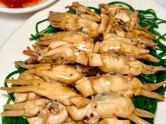 -阳江餐厅·30年老字号·粤菜海鲜大排档