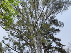 -香山公园-东宫门售票处