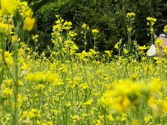 -长春公园(普阳街道)