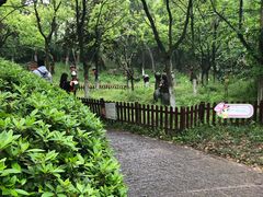 -天目湖山水园