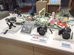 -Sony Store 索尼(上海淮海中路店)