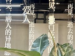 -南京时尚莱迪购物广场(正洪街店)