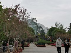-南山植物园