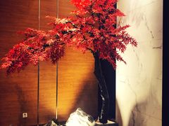 -璞·澐间影院式足道SPA(尚悦湾店)