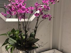 -翠湖宾馆·中餐厅