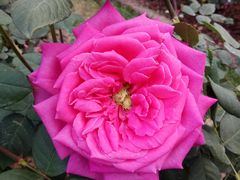 -人民公园(罗湖区)