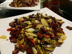 -山大王菌莊
