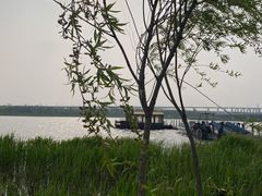 -绿堤公园