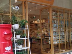 门面-猫的天空之城概念书店(束河店)