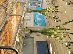 面包甜点陈列柜-好利来(永定路店)