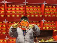 -中街·盛京龙城